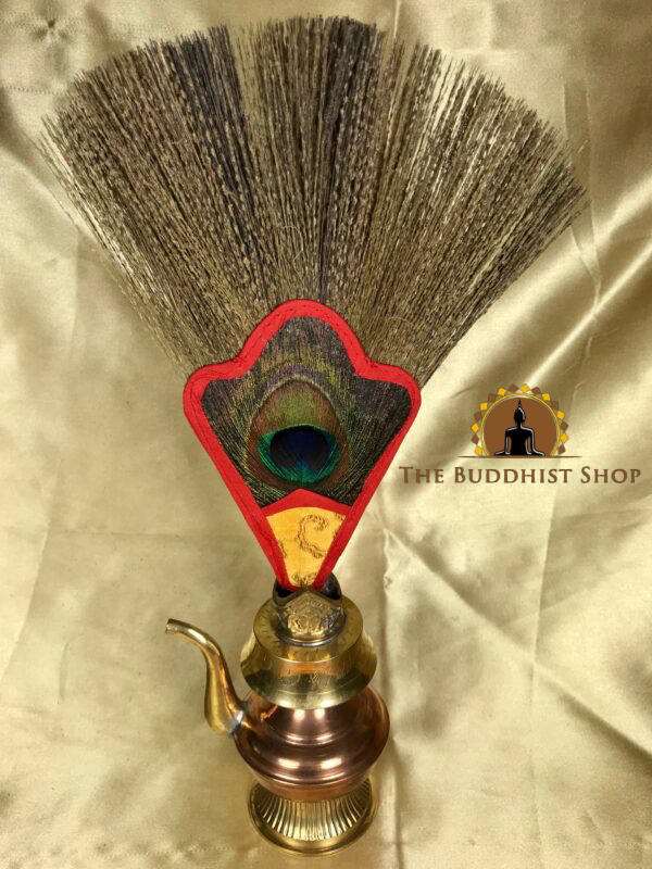 Peacock Feather for Bhumpa