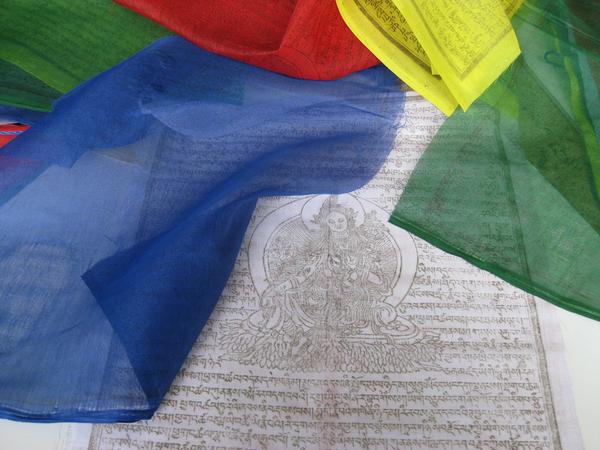 THE BUDDHIST SHOP Large Single roll of Horizontal Fine Print Tibetan Prayer Flags ~ 10 flags each 