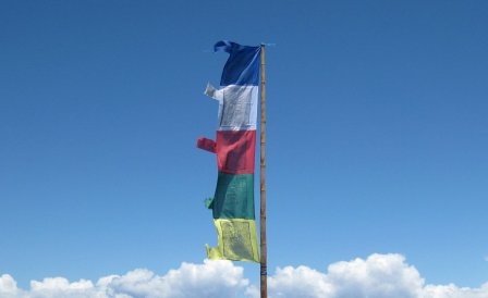 THE BUDDHIST SHOP Single roll of Vertical Tibetan Prayer Flags~ 5 Colors Joint ~ 15 flags each ~ Polyester 